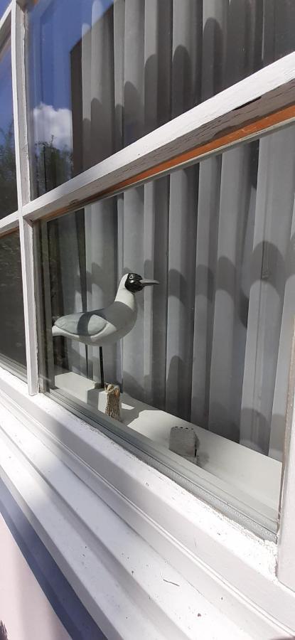 Apartment Haus Passat *